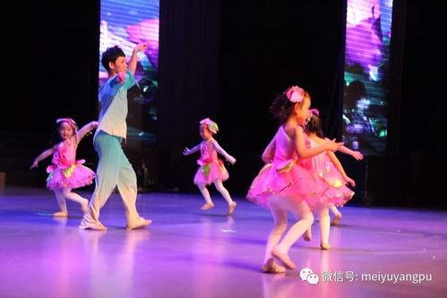 舞动的心,探寻舞蹈与情感共鸣的奇妙旅程