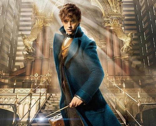 神奇动物在哪里